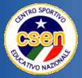 distintivo csen