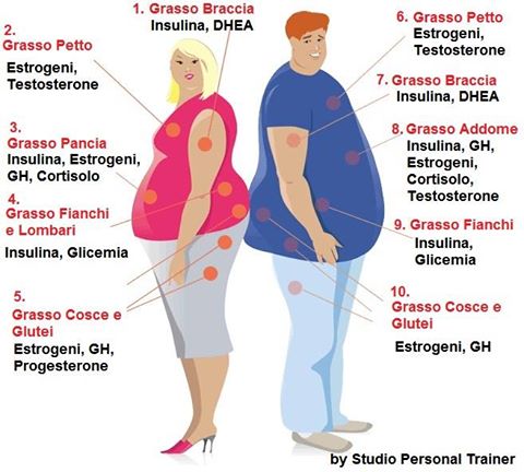 distribuzione grasso e ormoni