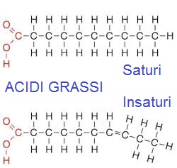 acidi grassi saturi e insaturi